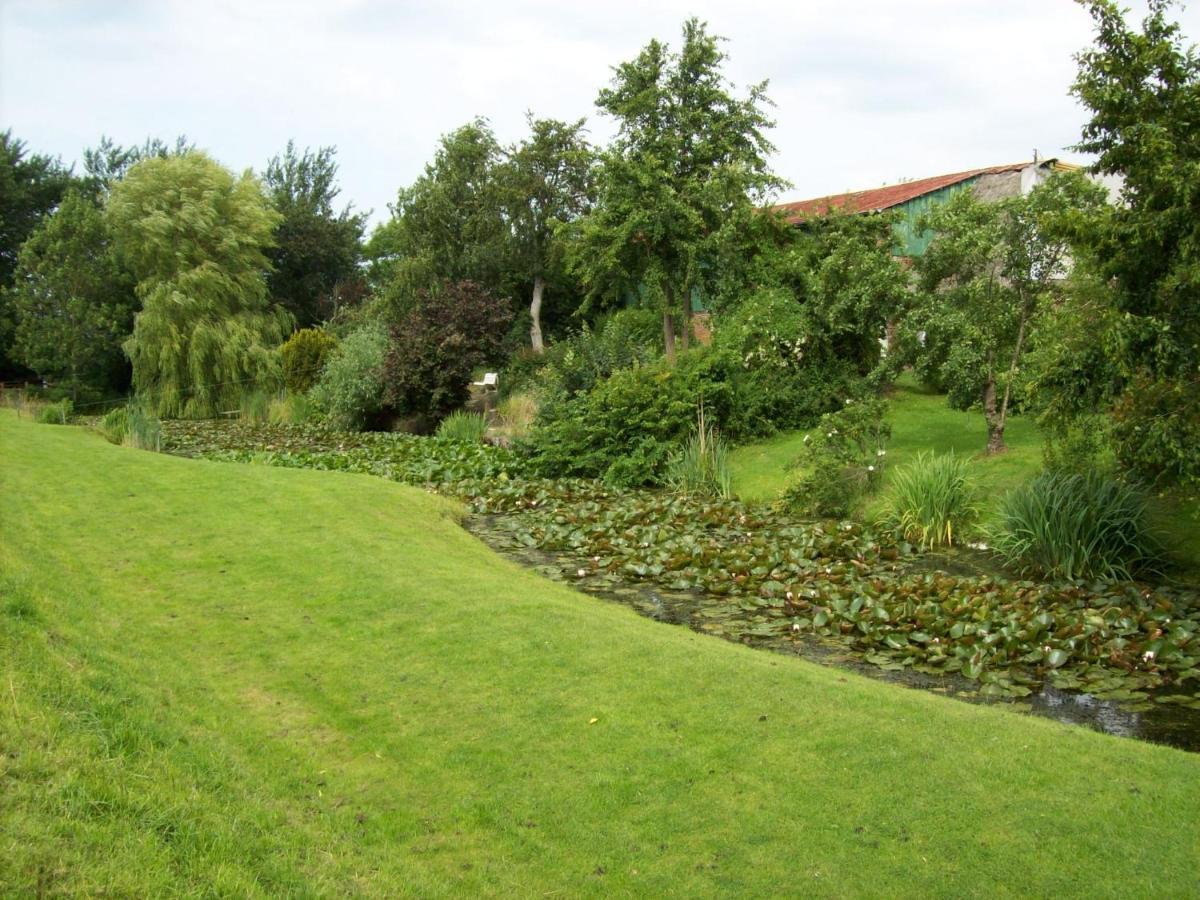 Seerosenhof *